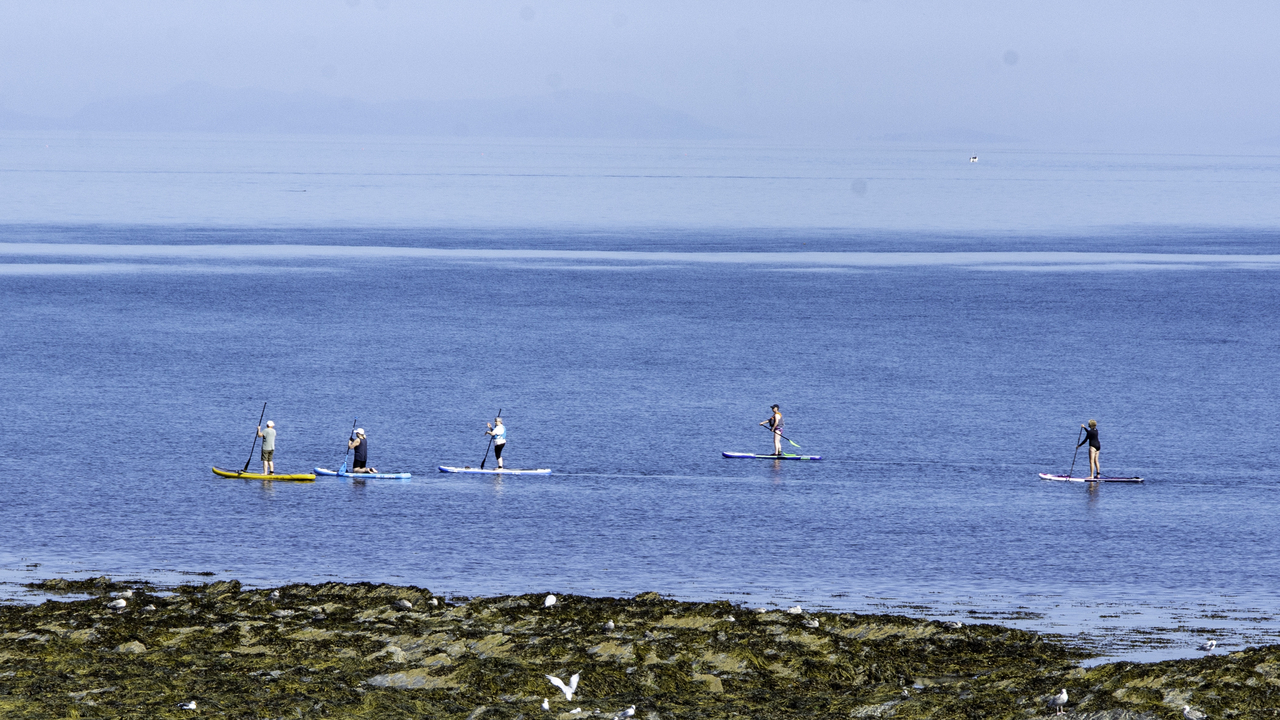 20220810 103201~Aberystwyth~Wales~UK